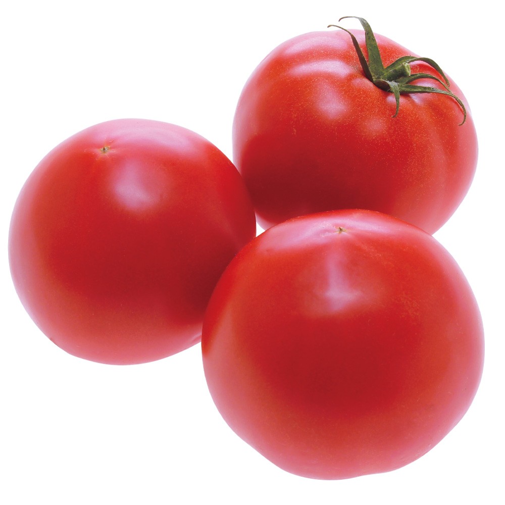 種 野菜たね トマト F1愛夏 1袋(5粒)