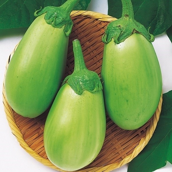 種 野菜たね ナス 白丸茄子 1袋(1ml)