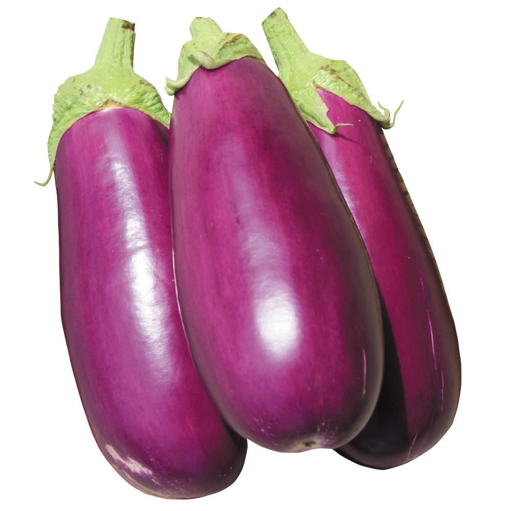 種 野菜たね ナス F1豊産むらさきナス 1袋(15粒)