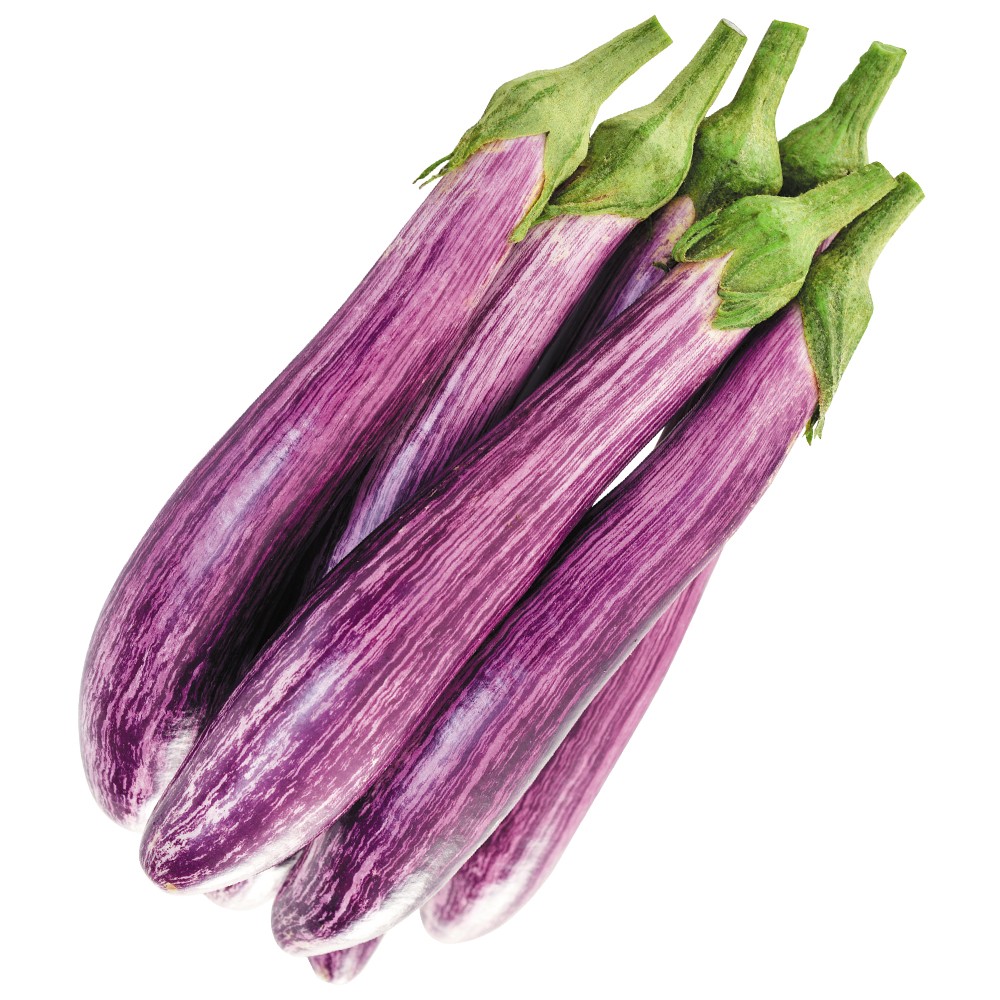 種 野菜たね ナス F1エレガントレディ 1袋(15粒)