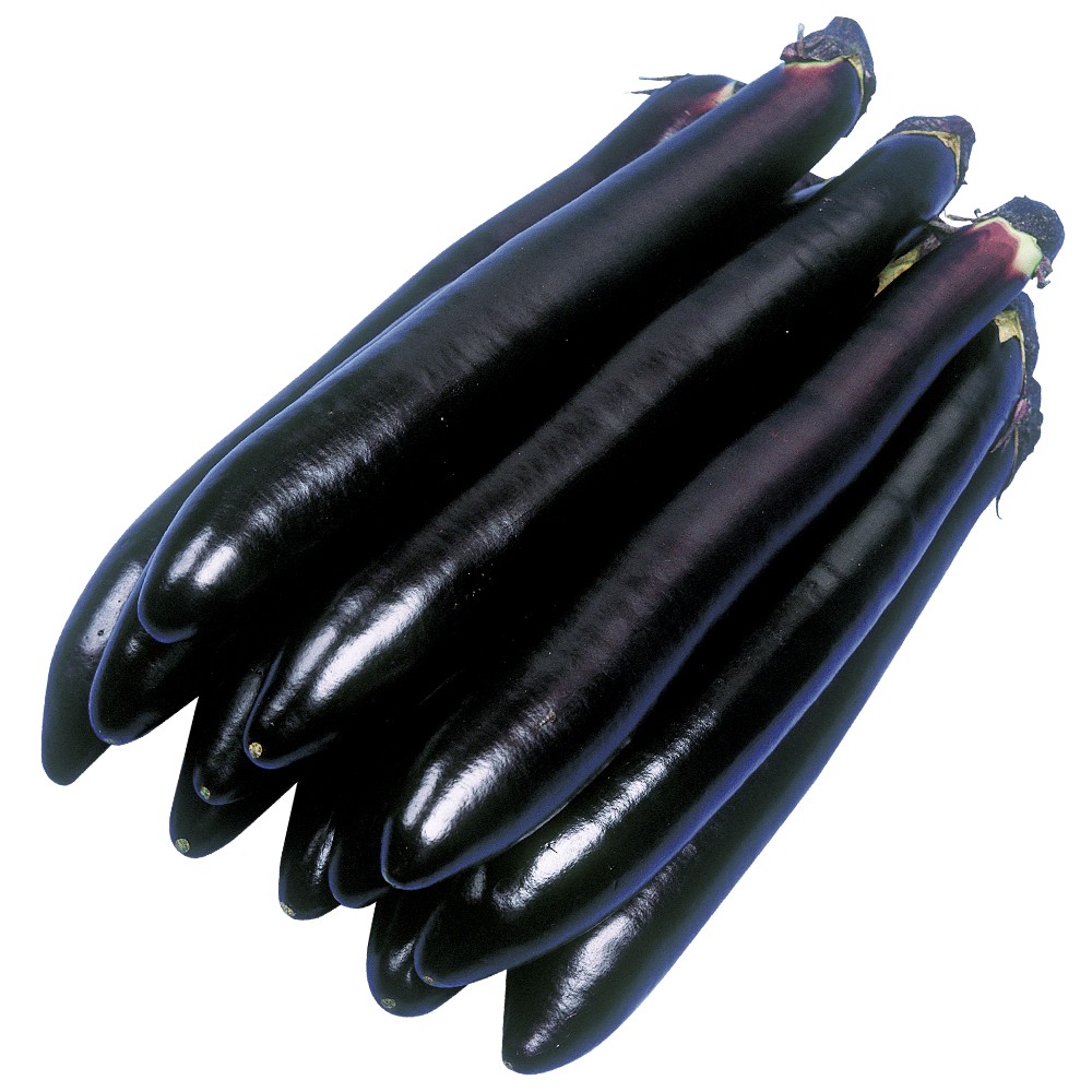 種 野菜たね ナス F1長美人 1袋(1ml)