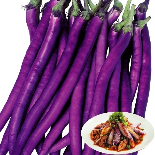 種 野菜たね ナス F1マー坊R 1袋(60粒)