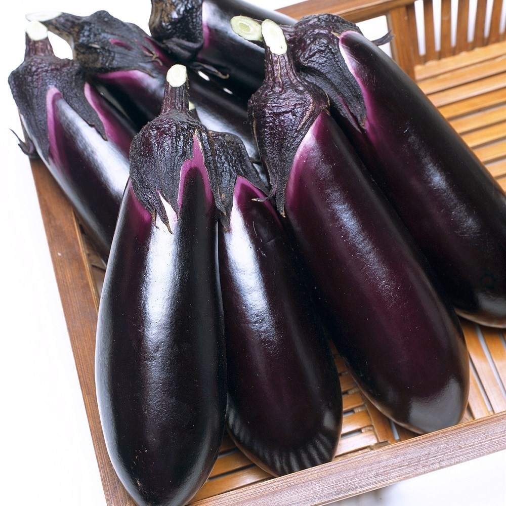 種 野菜たね ナス F1とげなし千両二号PVP 1袋(300粒)