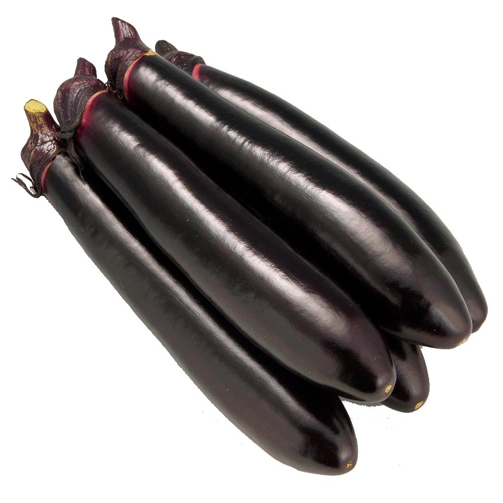 種 野菜たね ナス F1黒船 1袋(20粒)