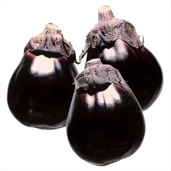 種 野菜たね ナス F1新潟黒十全なす 1袋(0.5ml)