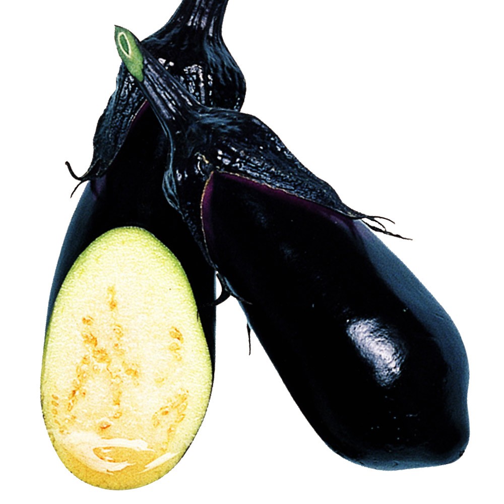 種 野菜たね ナス F1美味しい水茄子 1袋(1ml)