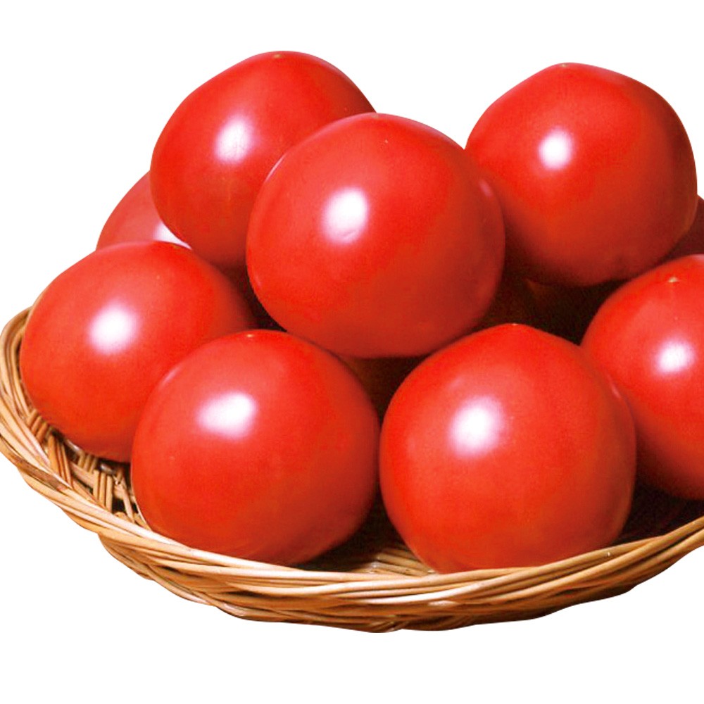 種 野菜たね トマト F1パルトPVP 1袋(10粒)