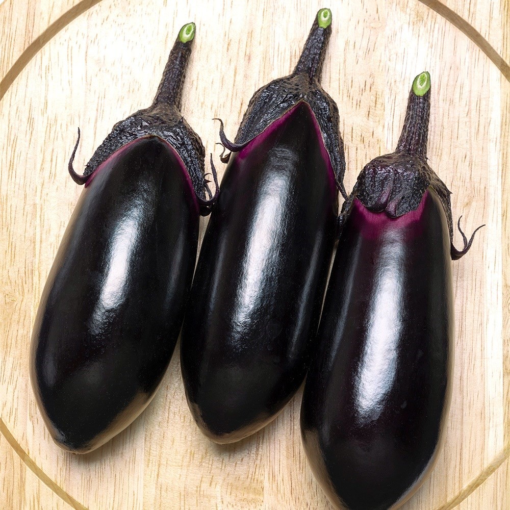 種 野菜たね ナス F1PC鶴丸R 1袋(15粒)