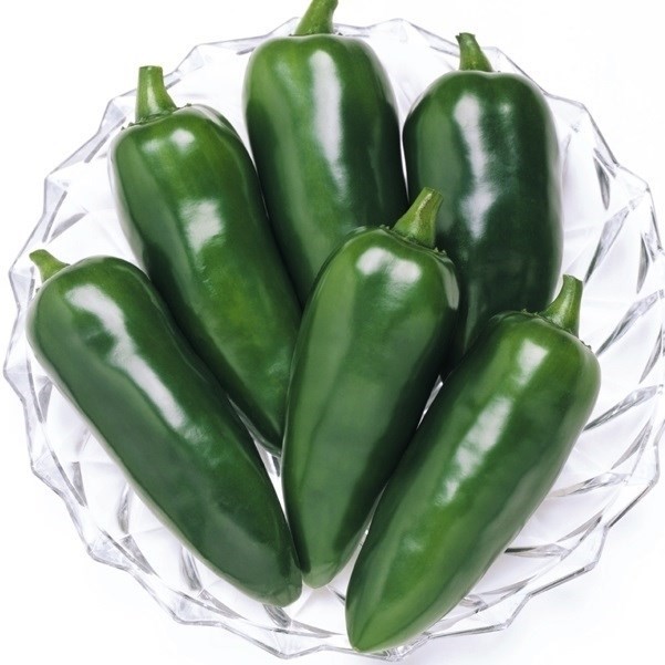 種 野菜たね ピーマン F1ピー太郎 1袋(27粒)