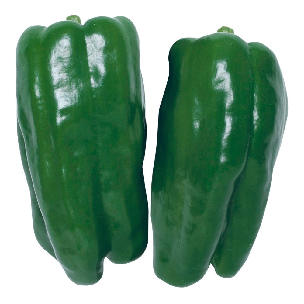 種 野菜たね ピーマン F1京ひかり 1袋(27粒)