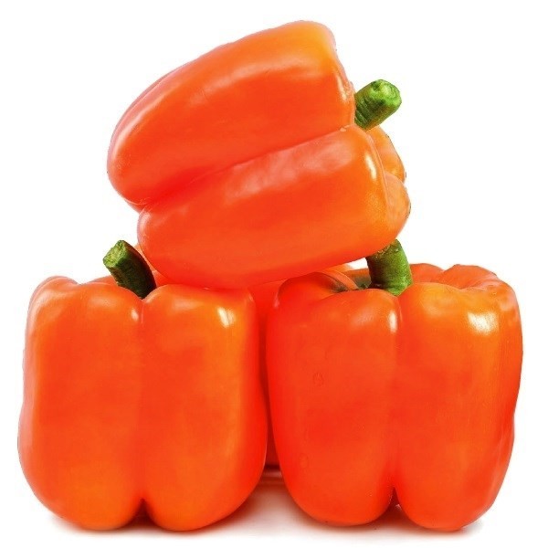 種 野菜たね パプリカ F1オレンジスター 1袋(10粒)