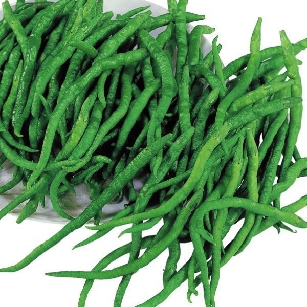 種 野菜たね トウガラシ ひもとうがらし 1袋(0.5ml)