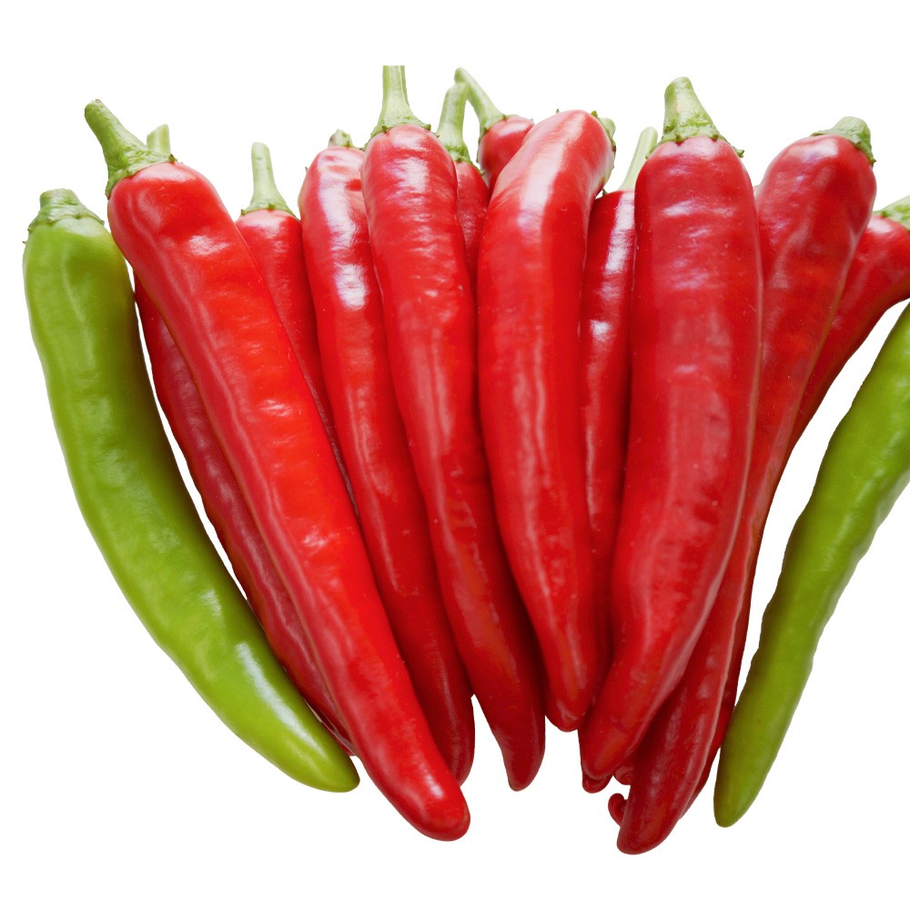 種 野菜たね トウガラシ F1韓国激辛唐辛子 1袋(12粒)