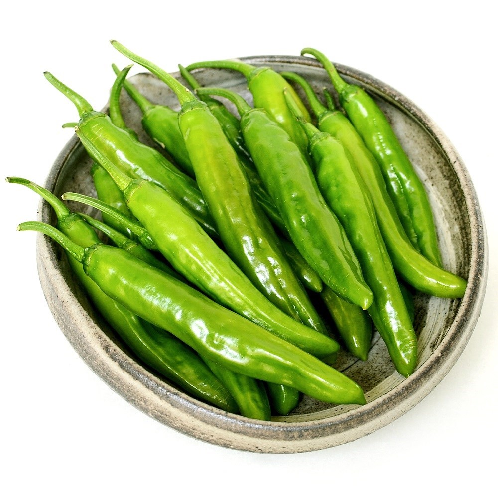 種 野菜たね トウガラシ F1サクッとあまなが 1袋(20粒)