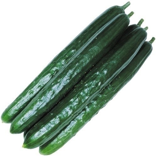 種 野菜たね キュウリ F1味まっしぐら 1袋(2ml)