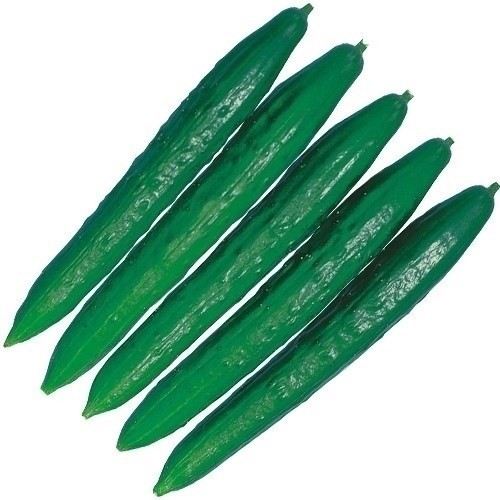 種 野菜たね キュウリ F1早そだち 1袋(1ml)