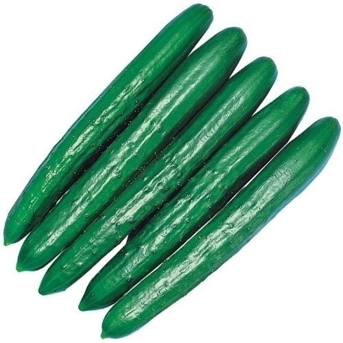 種 野菜たね キュウリ F1夢そだち 1袋(1ml)