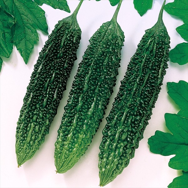 種 野菜たね ゴーヤ F1よくなるゴーヤ 1袋(6粒)