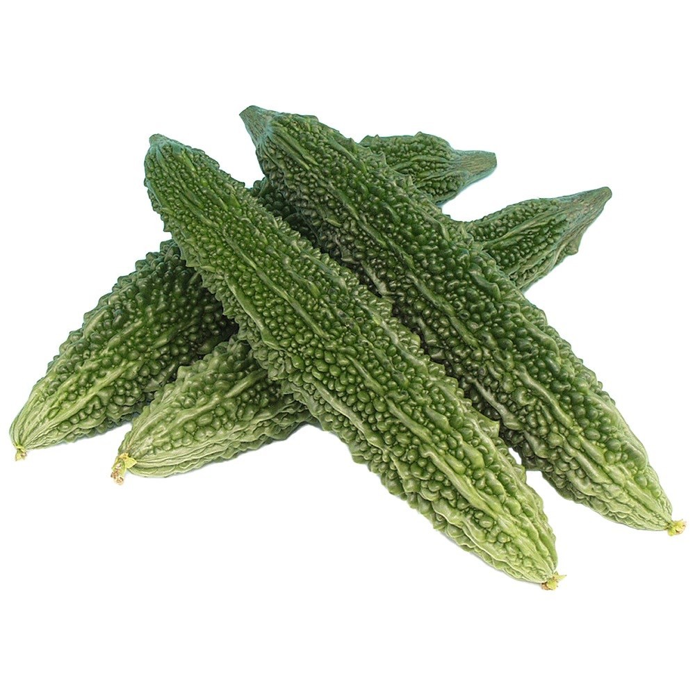 種 野菜たね ゴーヤ F1えらぶ 1袋(4粒)