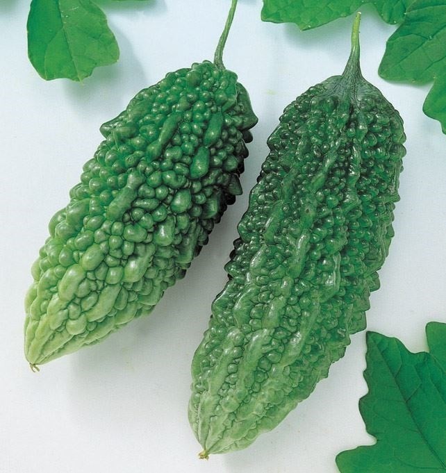 種 野菜たね ゴーヤ あばしゴーヤ 1袋(8ml)