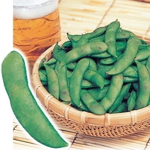 種 野菜たね エダマメ だだちゃ豆 1袋(40ml)