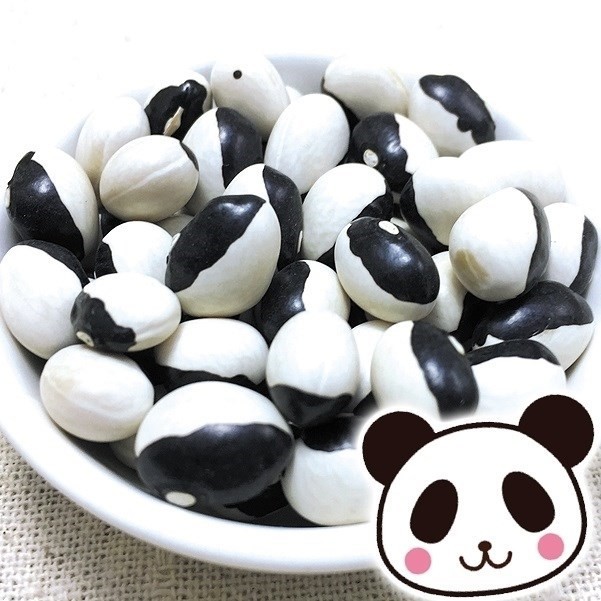 種 野菜たね マメ パンダ菜豆 1袋(30ml)