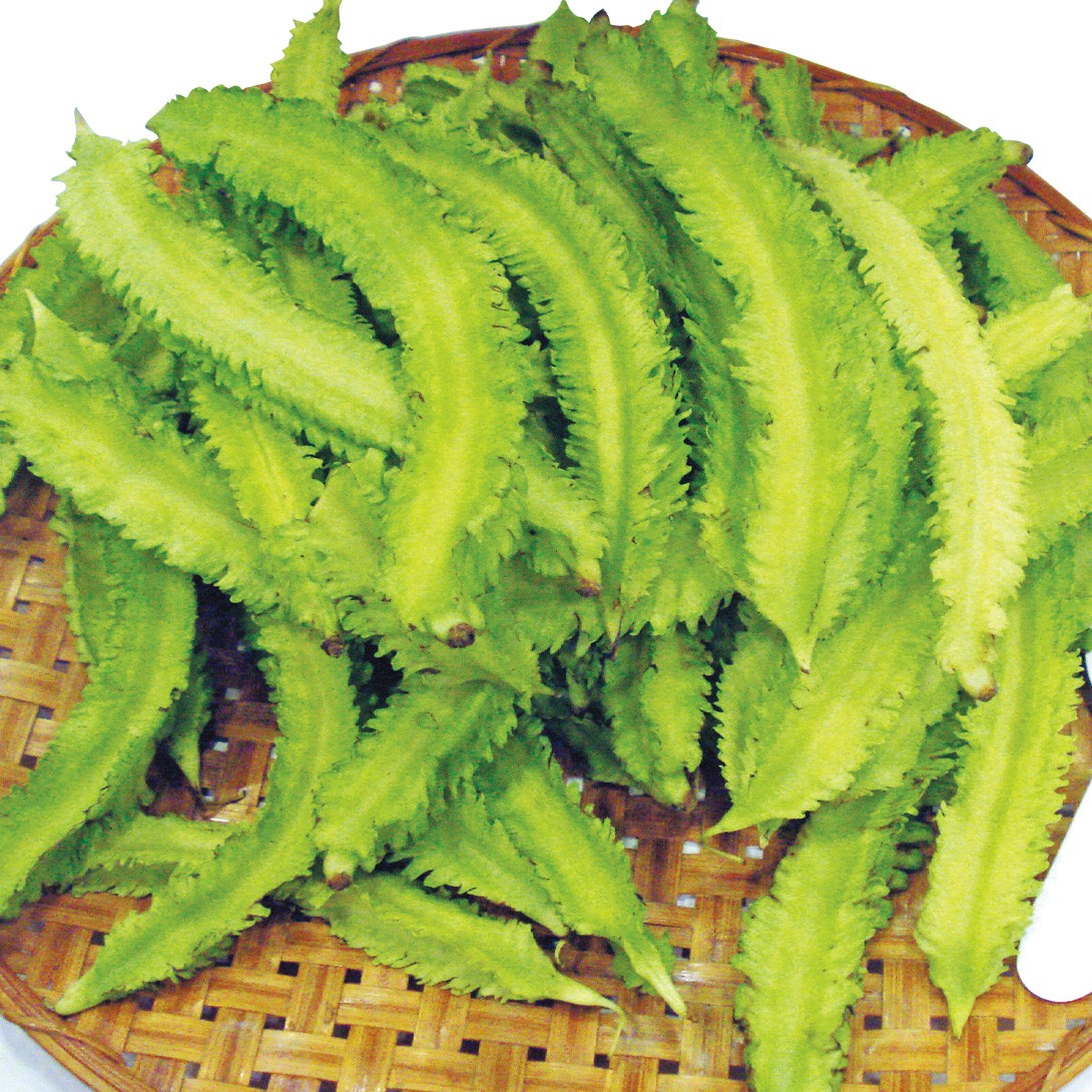 種 野菜たね シカクマメ わこさま 1袋(10ml)