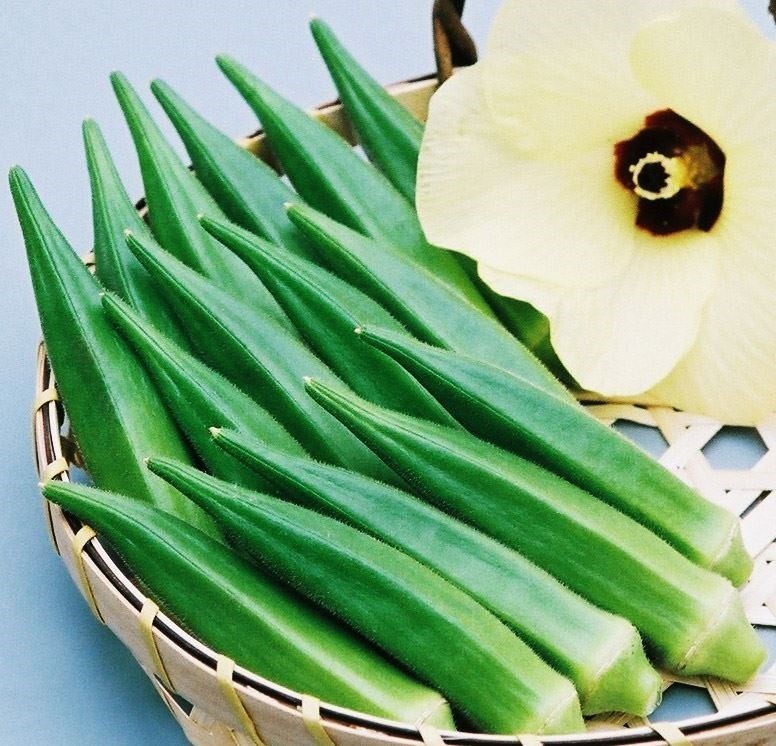 種 野菜たね オクラ F1おいしいオクラＥＸ 1袋(10ml)