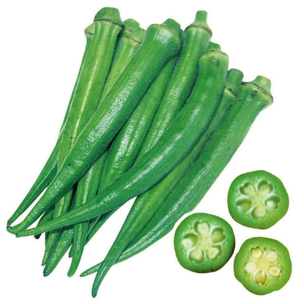 種 野菜たね オクラ 島オクラ 1袋(10ml)