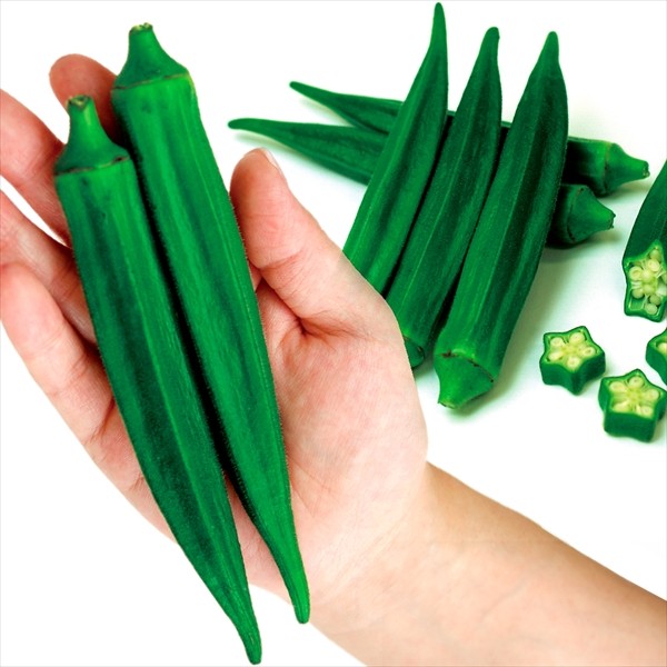 種 野菜たね オクラ F1ロングスター 1袋(8ml)