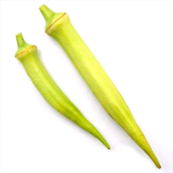 種 野菜たね オクラ 白ひすい 1袋(10ml)