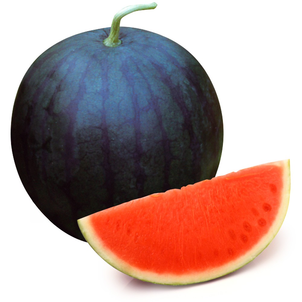 種 野菜たね スイカ F1種なしサンバ 1袋(7粒)