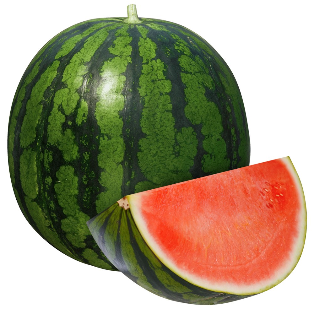 種 野菜たね スイカ F1種なしキングEX 1袋(8粒)