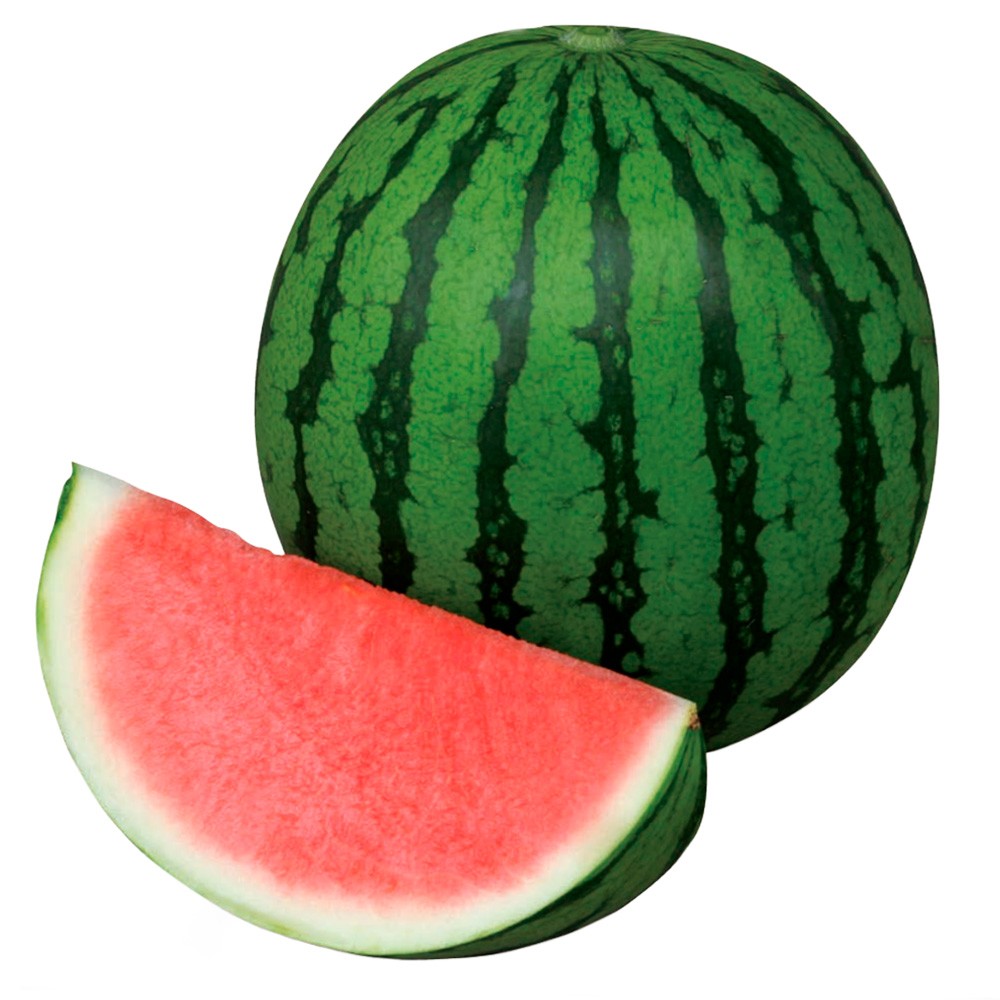 種 野菜たね スイカ F1ナツイチ 1袋(7粒)