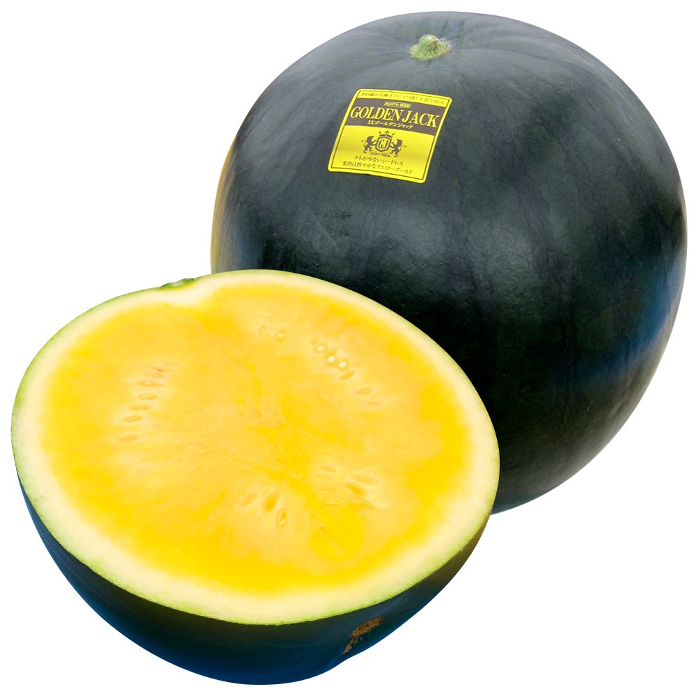 種 野菜たね 種なし スイカ F1 3Xゴールデンジャック 1袋(5粒)