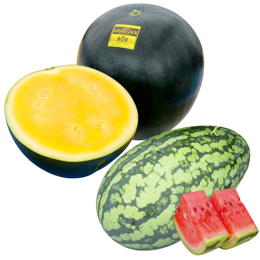 種 野菜たね スイカ ゴールデンジャックおすすめセット 2種2袋