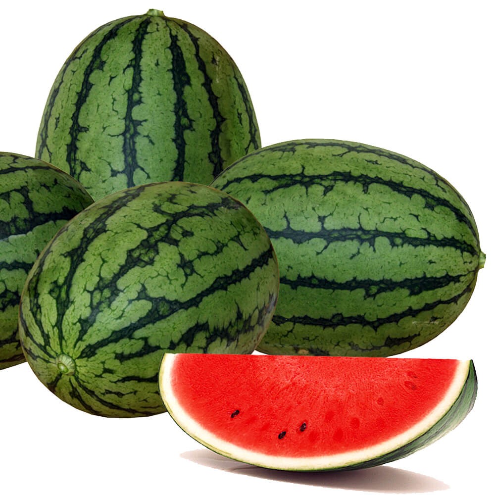 種 野菜たね スイカ F1レッドバルーン 1袋(9粒)