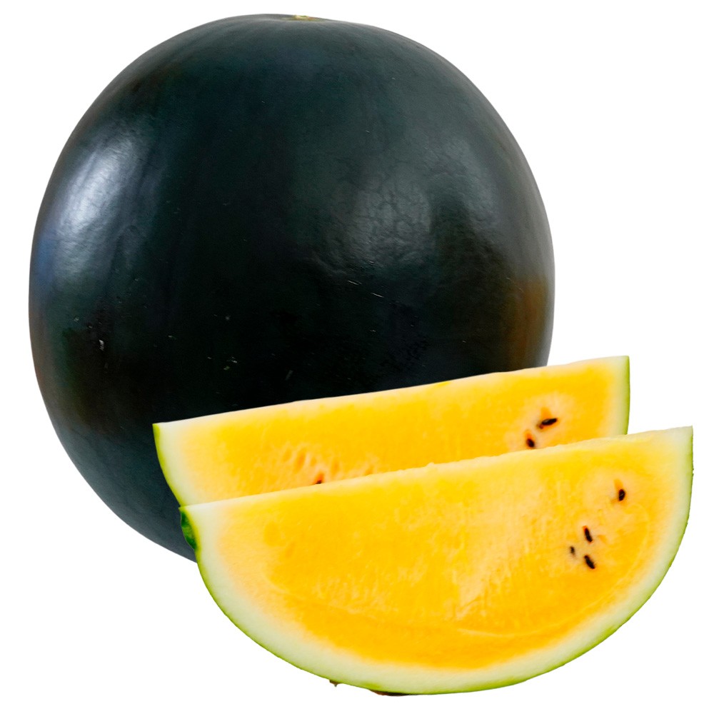 種 野菜たね スイカ F1サンダーボルト 1袋(8粒)