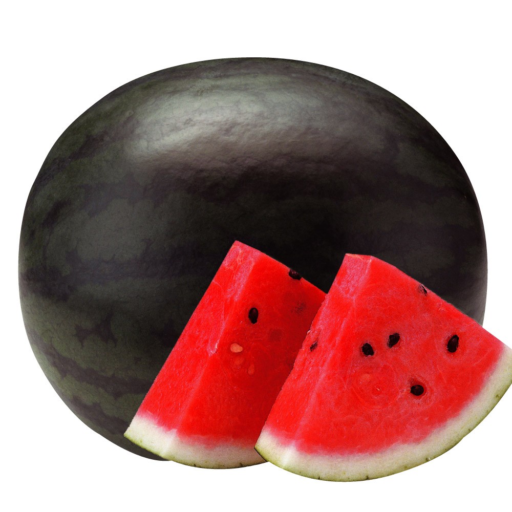 種 野菜たね スイカ F1ゴスペル 1袋(5粒)