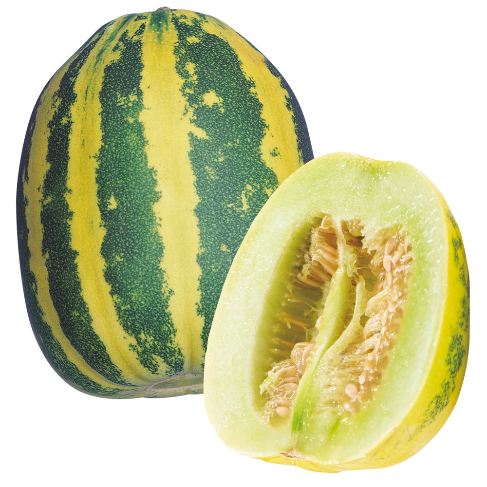 種 野菜たね メロン タイガーメロン 1袋(0.8ml)