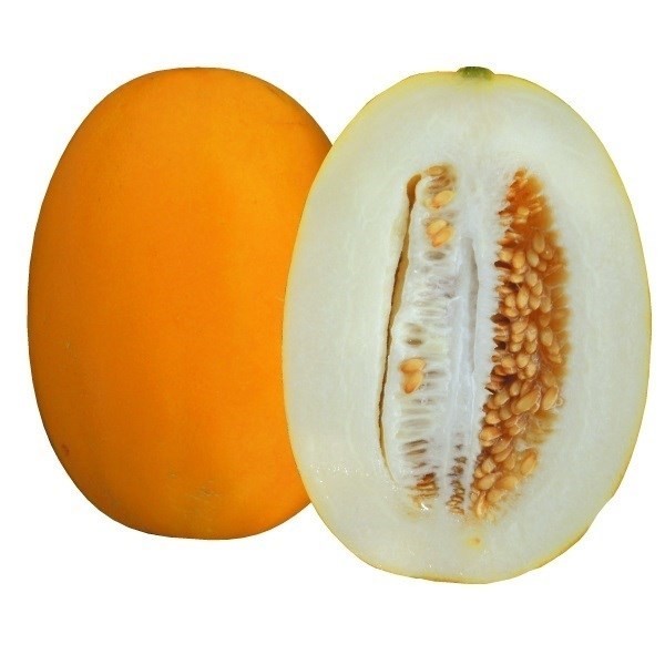 種 野菜たね マクワウリ F1黄メロンマクワ 1袋(8粒)