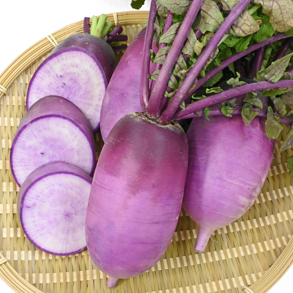 種 野菜たね ダイコン F1藤くるり 1袋(2ml)