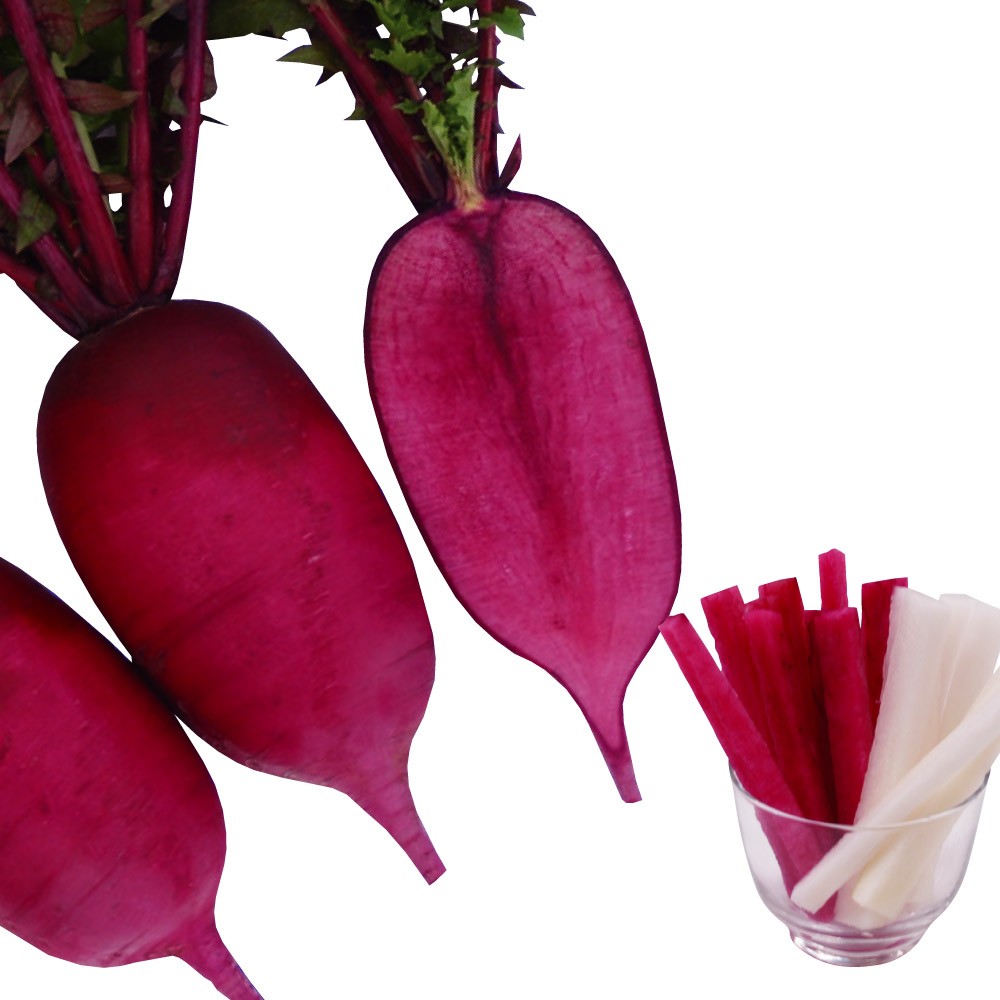 種 野菜たね ダイコン F1もみじスティック 1袋(1ml)