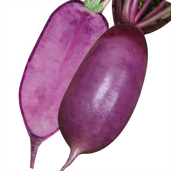 種 野菜たね ダイコン F1あじ紫大根 1袋(3ml)