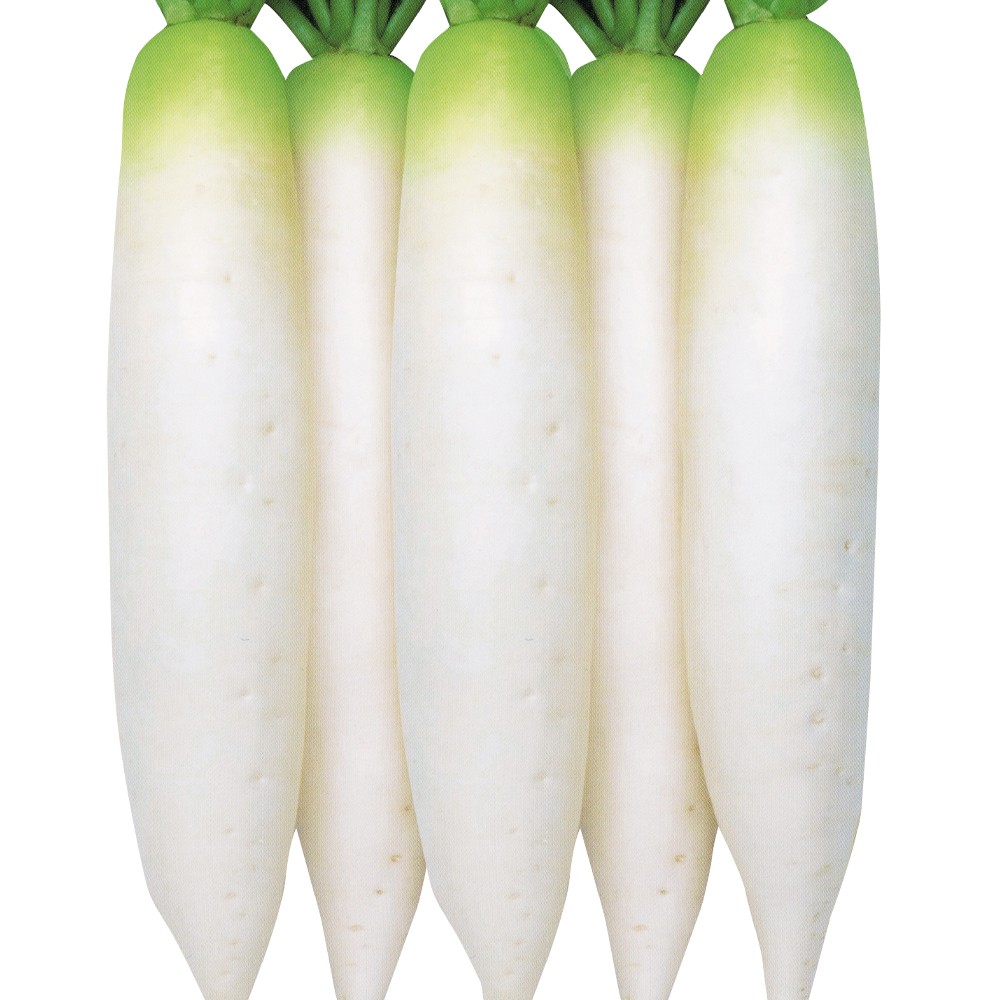 種 野菜たね ダイコン F1四季まさり 1袋(3ml)