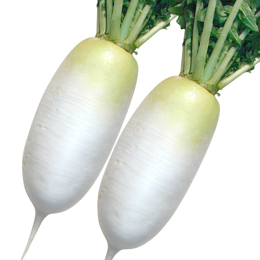 種 野菜たね ダイコン F1改良秀太郎 1袋(4ml)