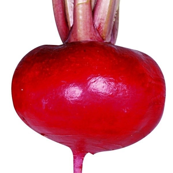 種 野菜たね カブ F1赤サラダカブ 1袋(3ml)