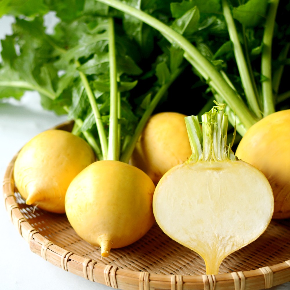 種 野菜たね カブ 味こがねPVP 1袋(2.5ml)