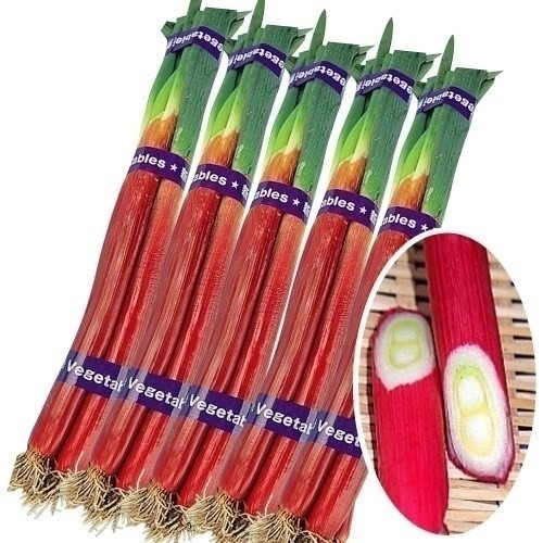 種 野菜たね ネギ 赤根深葱 1袋(10ml)