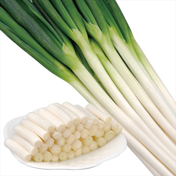 種 野菜たね ネギ F1味十八番 1袋(コート種子200粒)